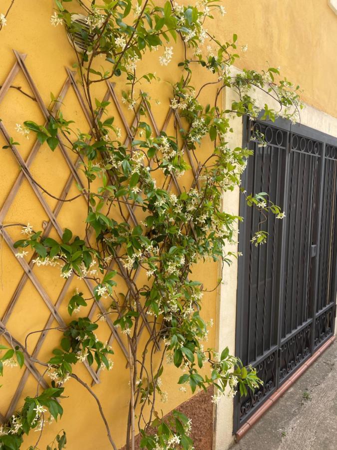 B&B Mela Roggiano Gravina Exterior foto